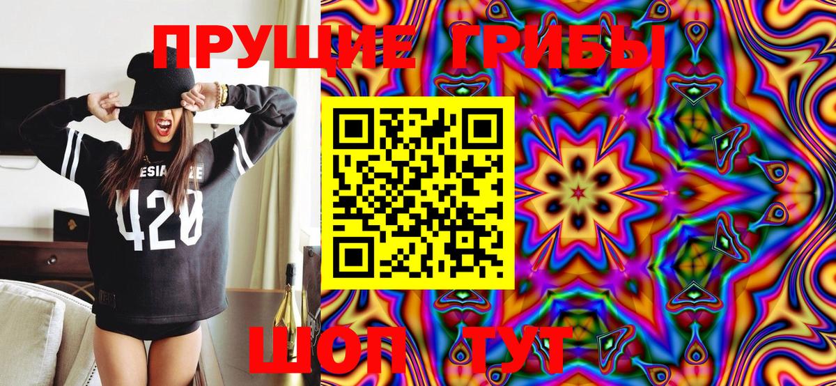 Галлюциногенные грибы Cubensis Балабаново