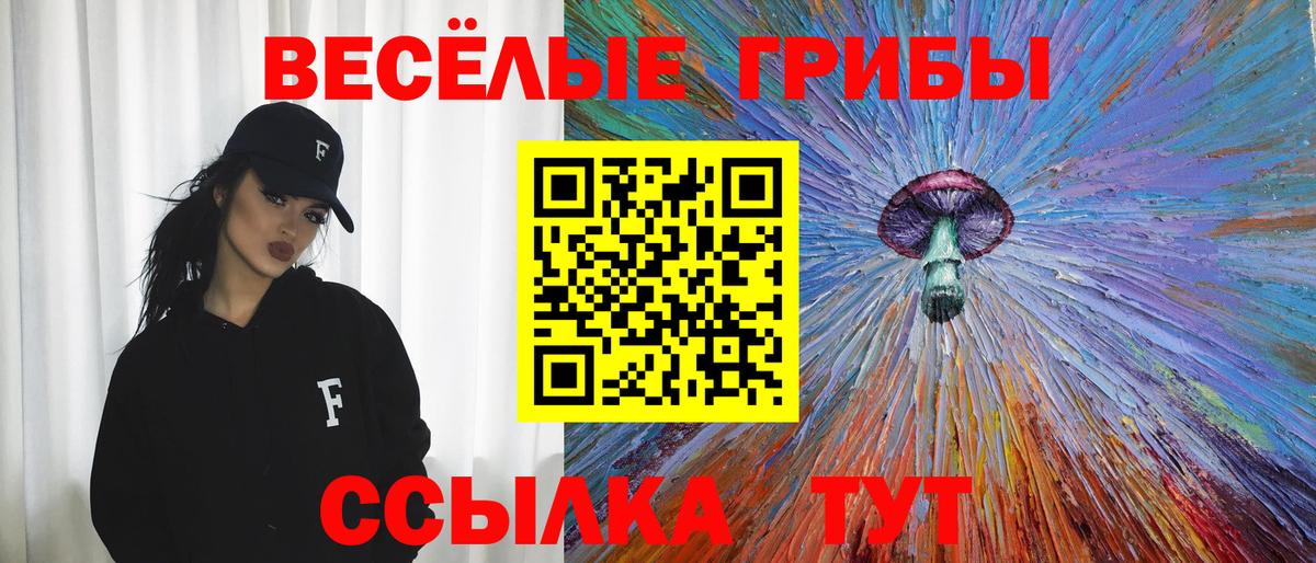 Балабаново  Псилоцибиновые грибы Psilocybine cubensis  Вход с VPN  Псилоцибиновые грибы GOLDEN TEACHER 